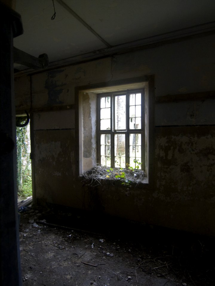 Charleville Castle Stables