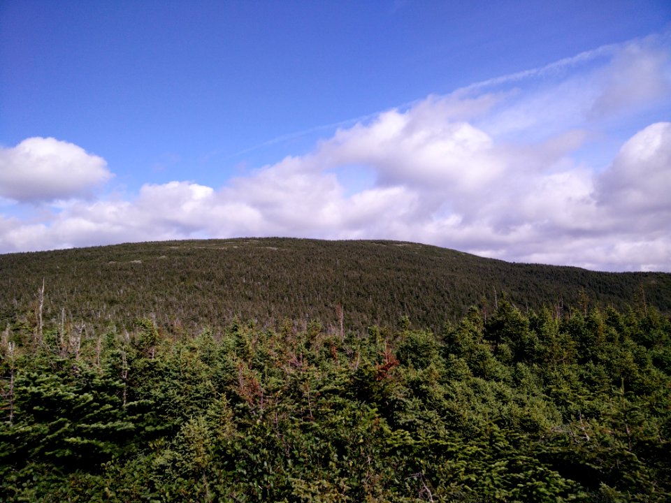 088 - Parc National De La Gaspsie  Mont Joseph-Fortin