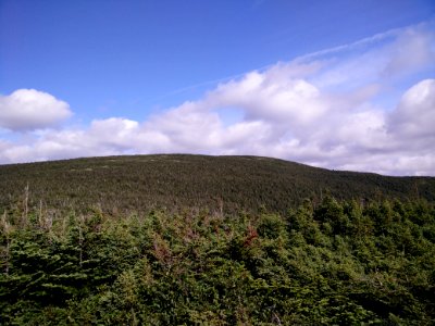 088 - Parc National De La Gaspsie  Mont Joseph-Fortin