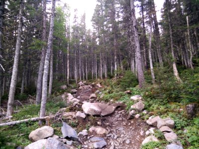 015 - Parc National De La Gaspsie  Mont Xalibu