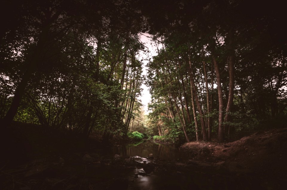 Serenity - Nature Reserve