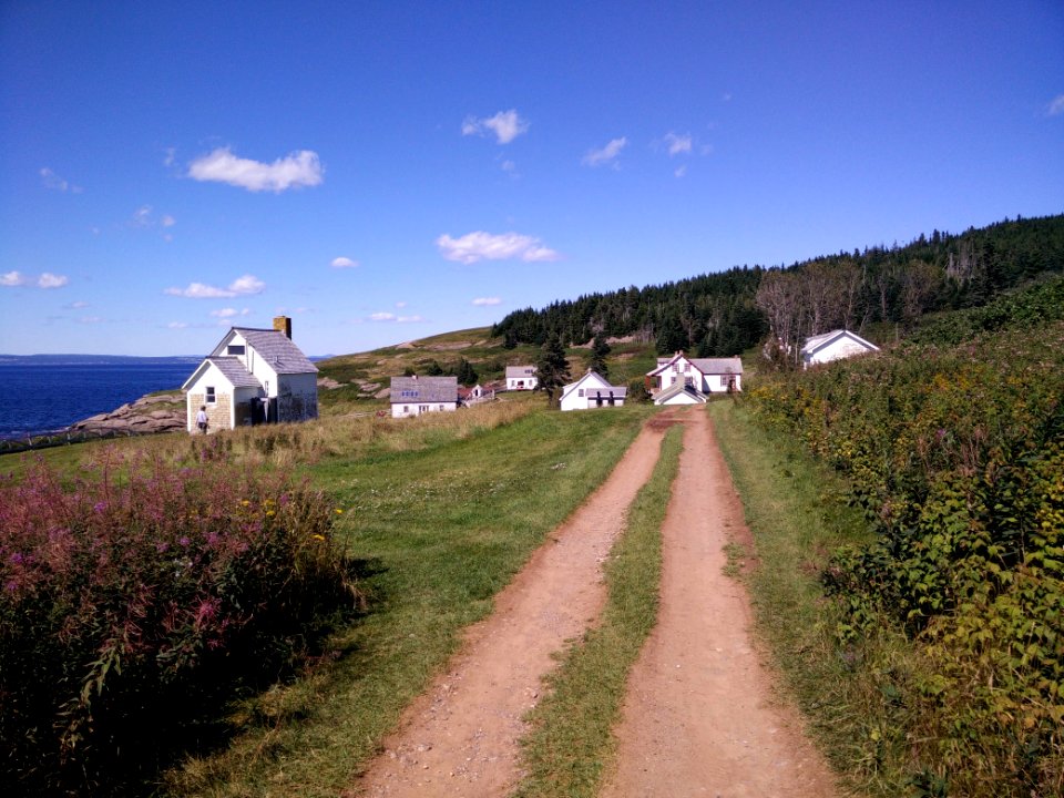 226 - Parc National De Lle-Bonaventure-et-du-Rocher-Perc  Sentier Chemin-du-Roy