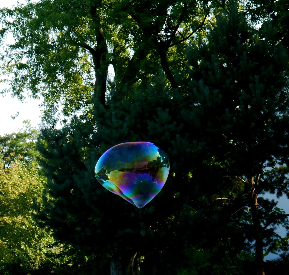 Tree flight children