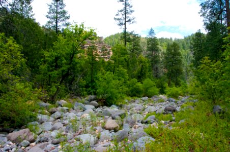 Little LO Trail No 6
