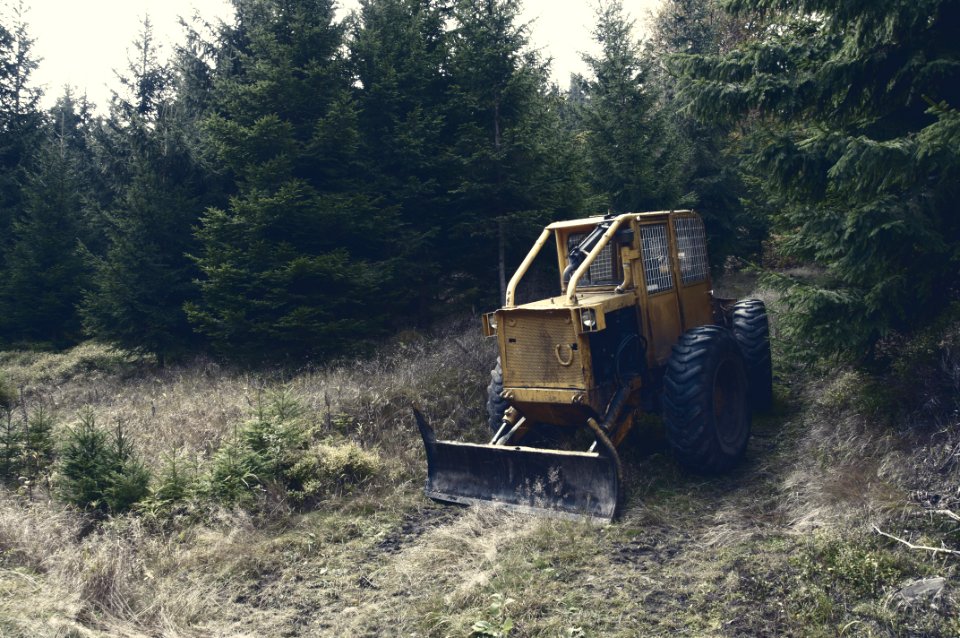 Yellow Bulldozer Near Forest