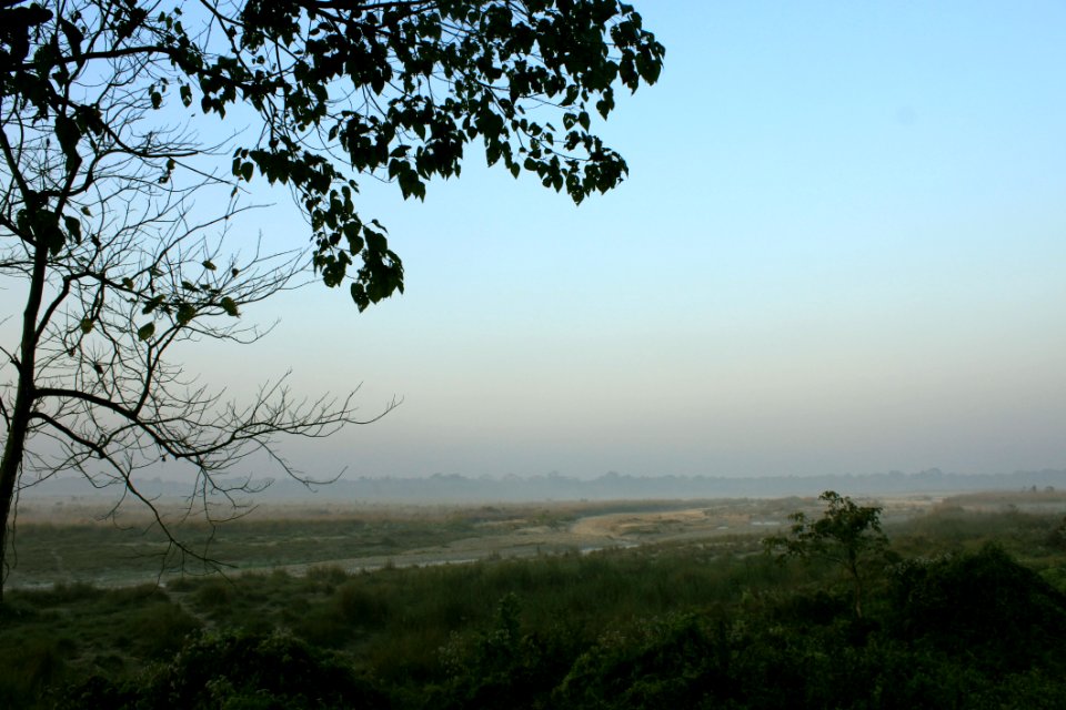 Near The Forest Watchtower Chilapata Forest