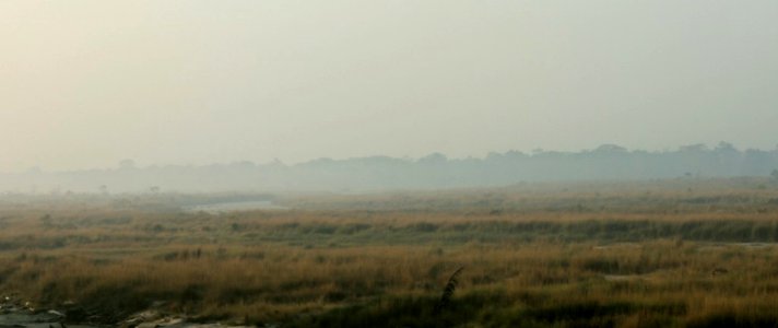 Fog Over The Landscape Chilapata