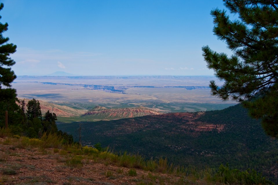 Kaibab Plateau Trail 101