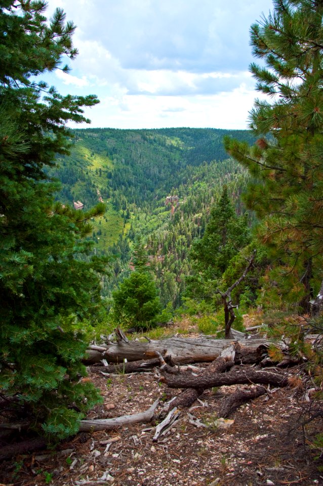Kaibab Plateau Trail 101