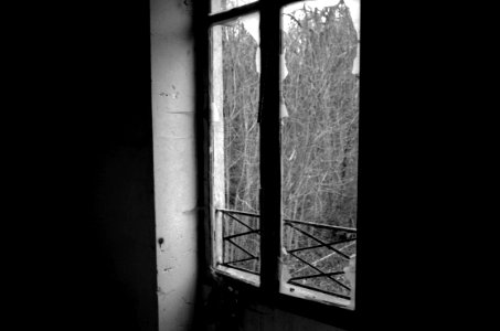 Abandonned Houses In The Forest