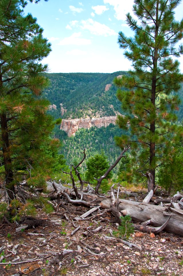 Kaibab Plateau Trail 101