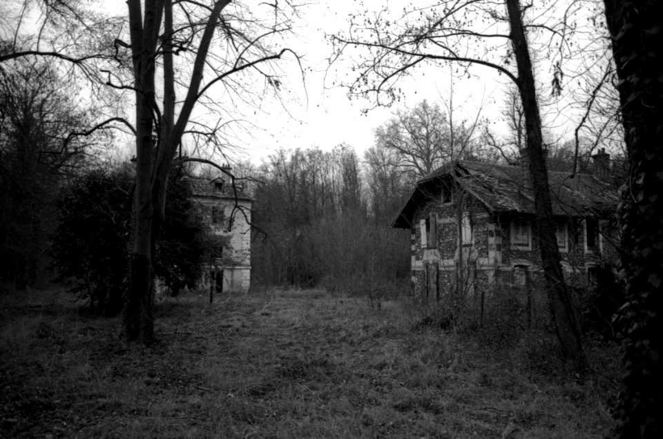 Abandonned Houses In The Forest