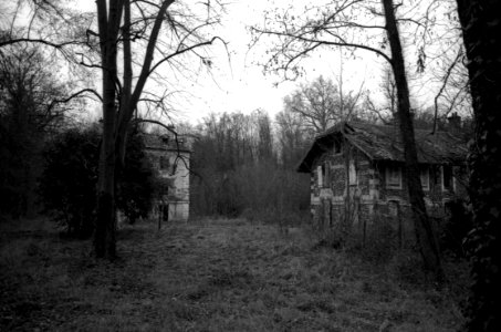 Abandonned Houses In The Forest
