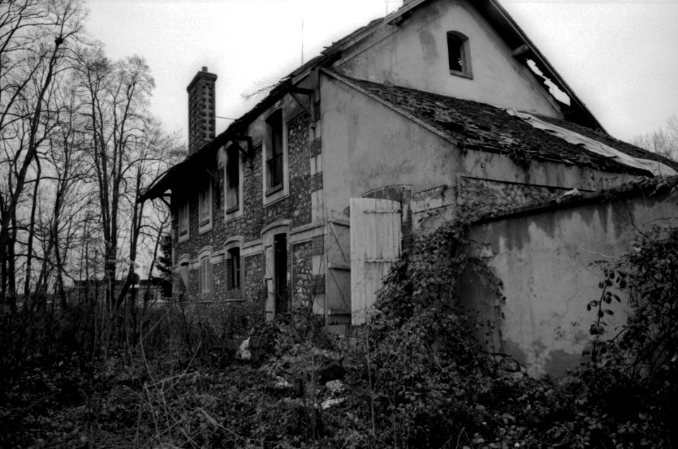 Abandonned Houses In The Forest