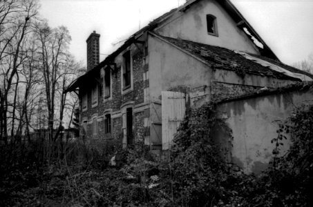 Abandonned Houses In The Forest