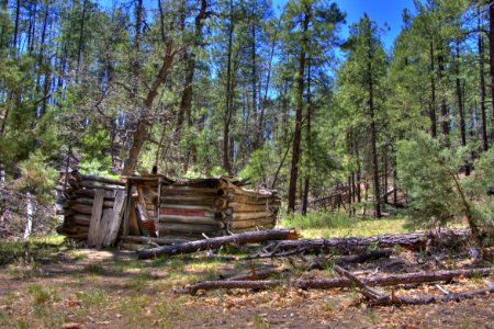 Secret Cabin