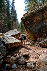 West Fork Of Oak Creek