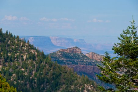 Kaibab Plateau Trail 101