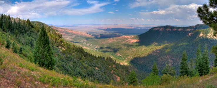 Kaibab Plateau Trail 101