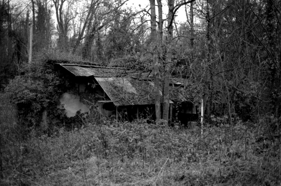 Abandonned Houses In The Forest