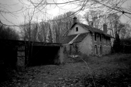 Abandonned Houses In The Forest