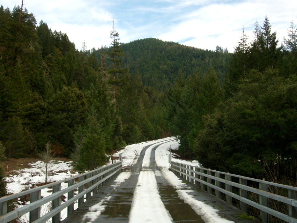 Bridge