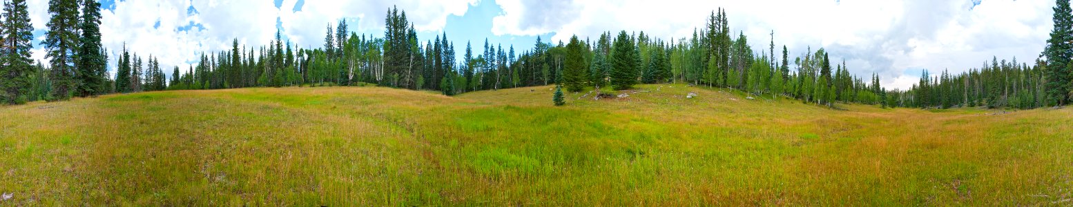Kaibab Plateau Trail 101
