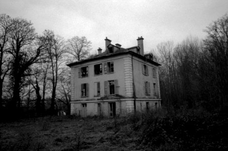 Abandonned Houses In The Forest