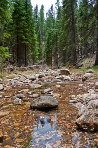 West Fork Of Oak Creek photo