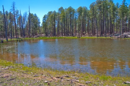 Lost Lake
