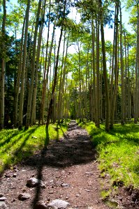 Inner Basin Trail