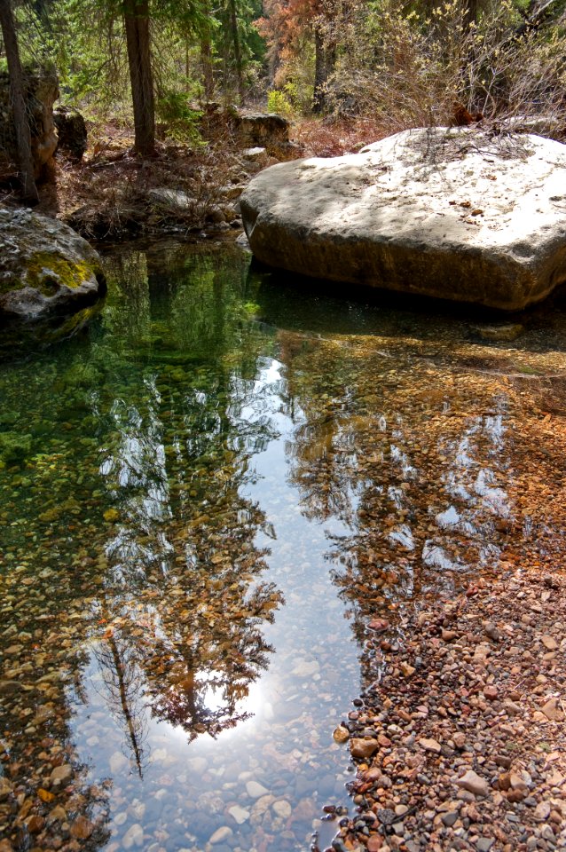 West Fork Of Oak Creek