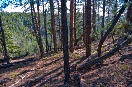Secret Mountain Trail