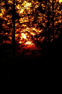 Sunset At Camp