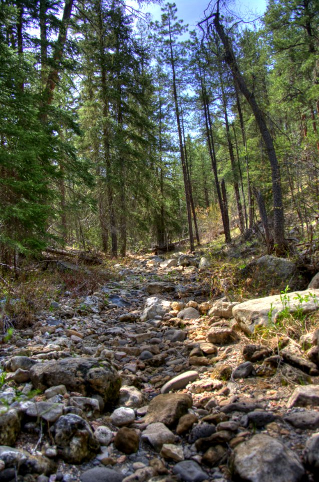 West Fork Of Oak Creek