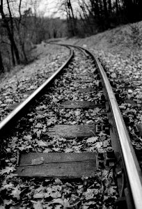 Tracks Of The Childrens Railway photo