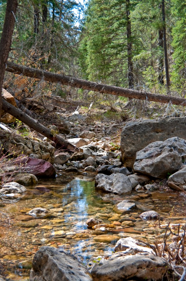 West Fork Of Oak Creek