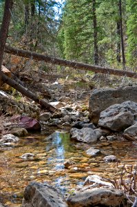 West Fork Of Oak Creek