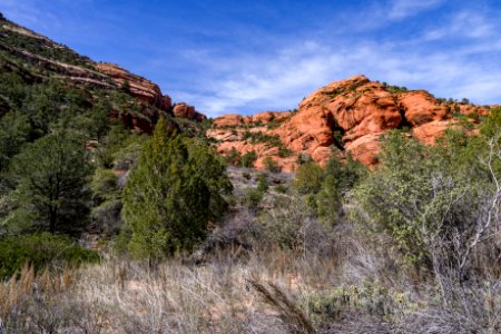 Loy Canyon Trail