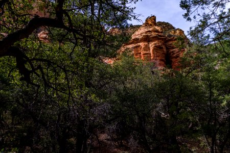 Loy Canyon Trail
