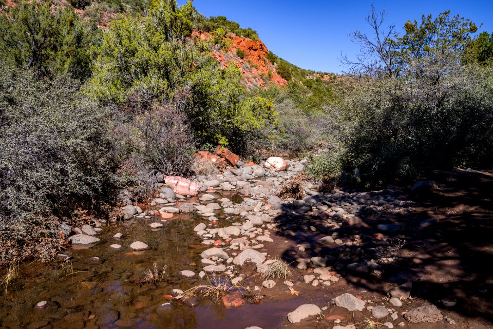Woods Canyon Trail No 93