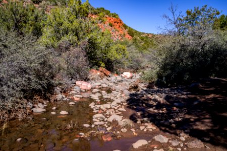 Woods Canyon Trail No 93