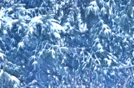 Snow Storm