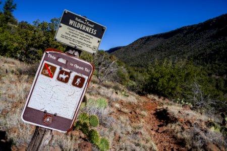 Woods Canyon Trail No 93