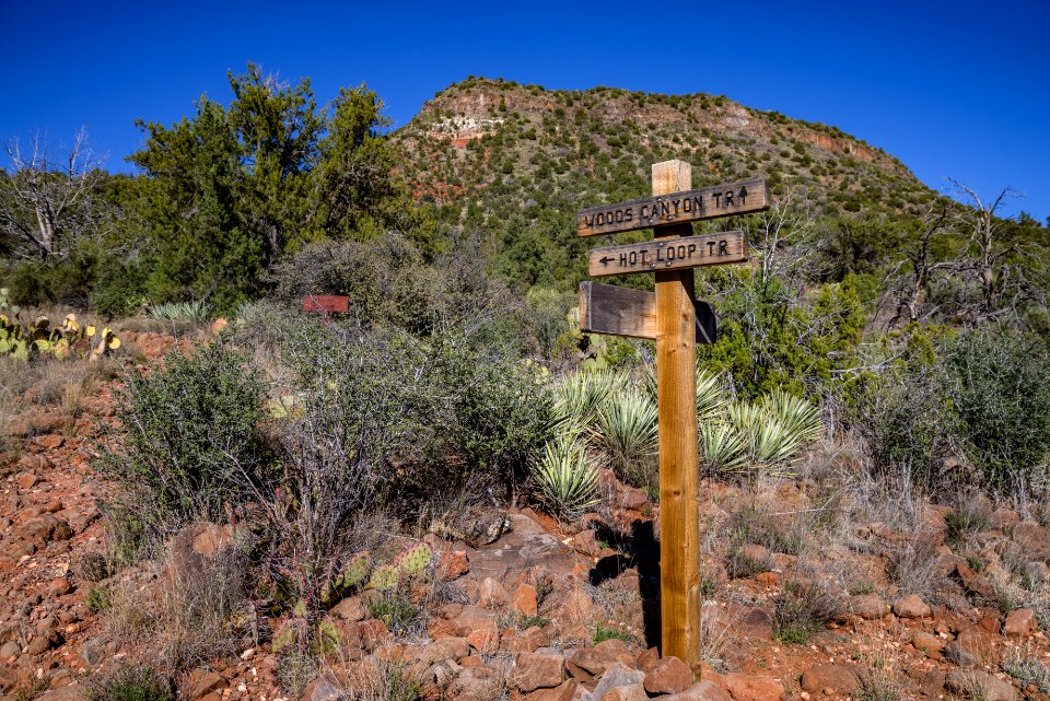 Woods Canyon Trail No 93
