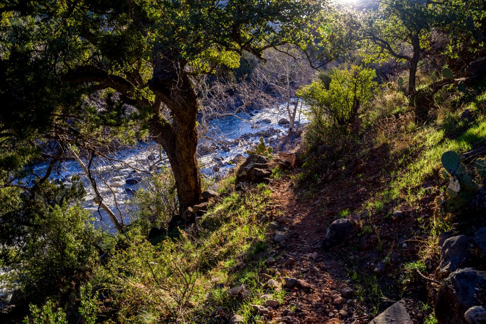 Woods Canyon Trail No 93