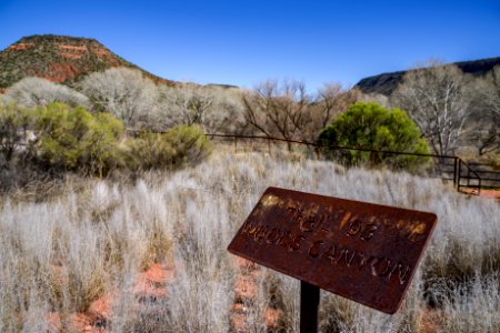 Woods Canyon Trail No 93