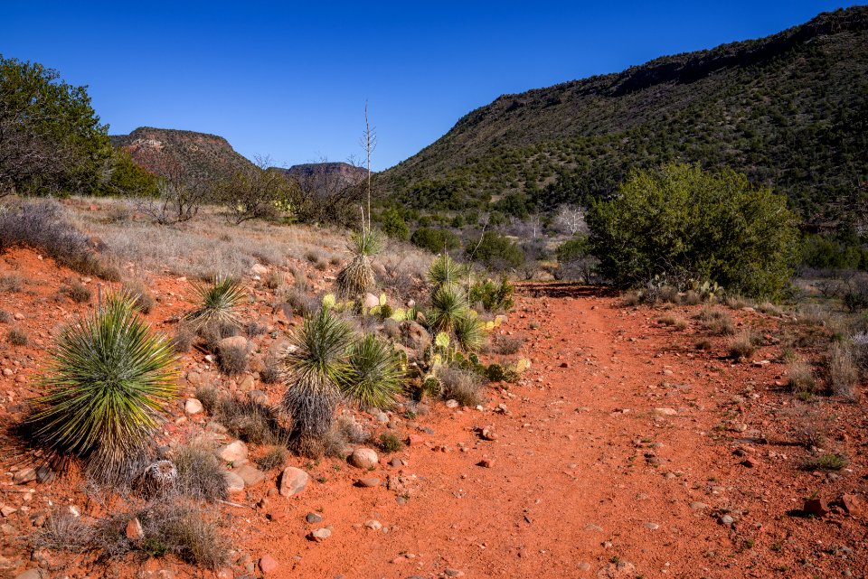Woods Canyon Trail No 93