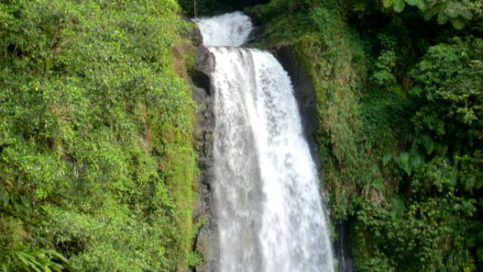 Dominica (Caribbean) - Trafalgar Falls - Morne Trois Pitons NP