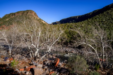 Woods Canyon Trail No 93